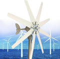 High-Efficiency 1000W Wind Turbine Generator - 12V/24V/48V Permanent Magnet, 8 Blades, Eco-Friendly Controller for Renewable Home Energy Solutions