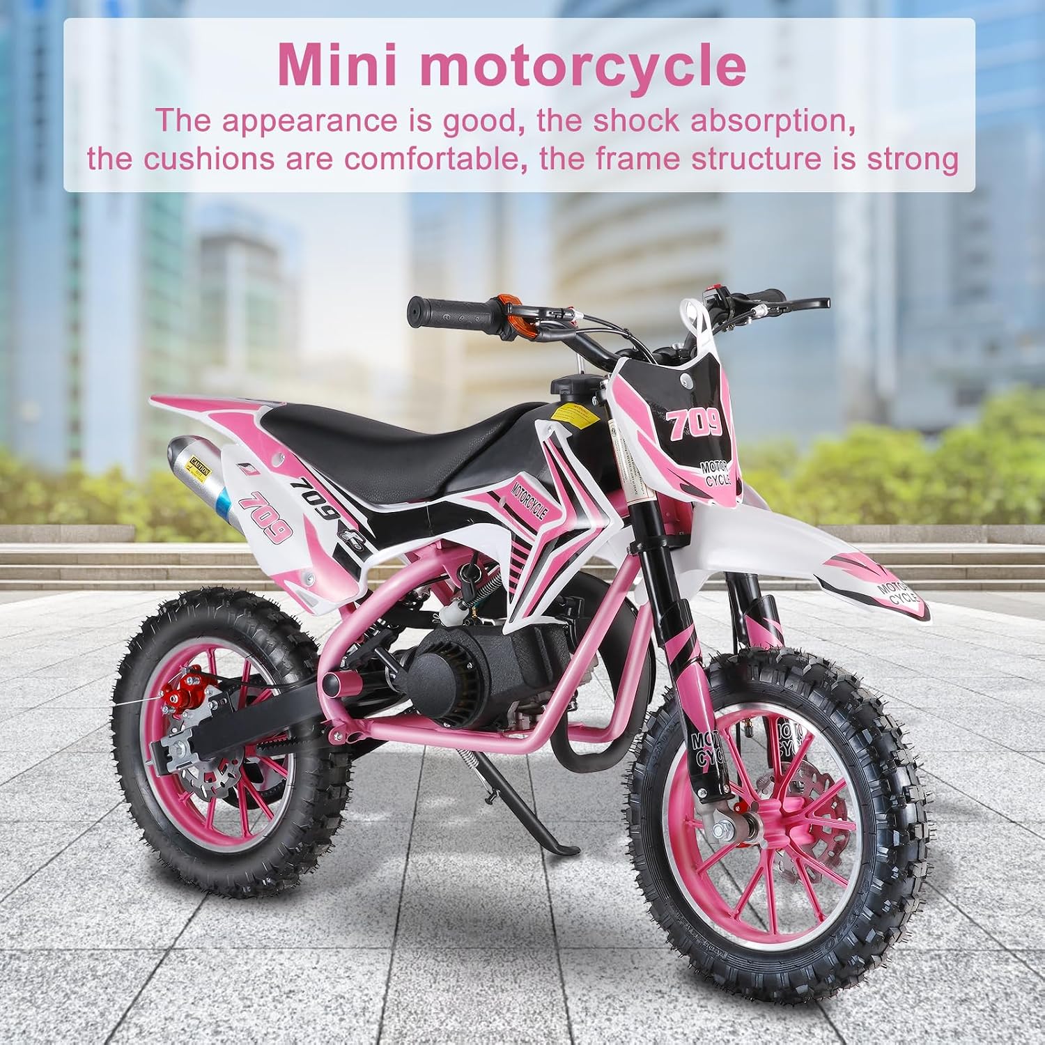 49cc 2-Stroke Kids Dirt Bike, Gas Power Motocross, Off Road Mini Motorcycle, Pocket Motorbike with Front Rear Disc Brakes, Racing Max Speed 30KM/H (Red)
